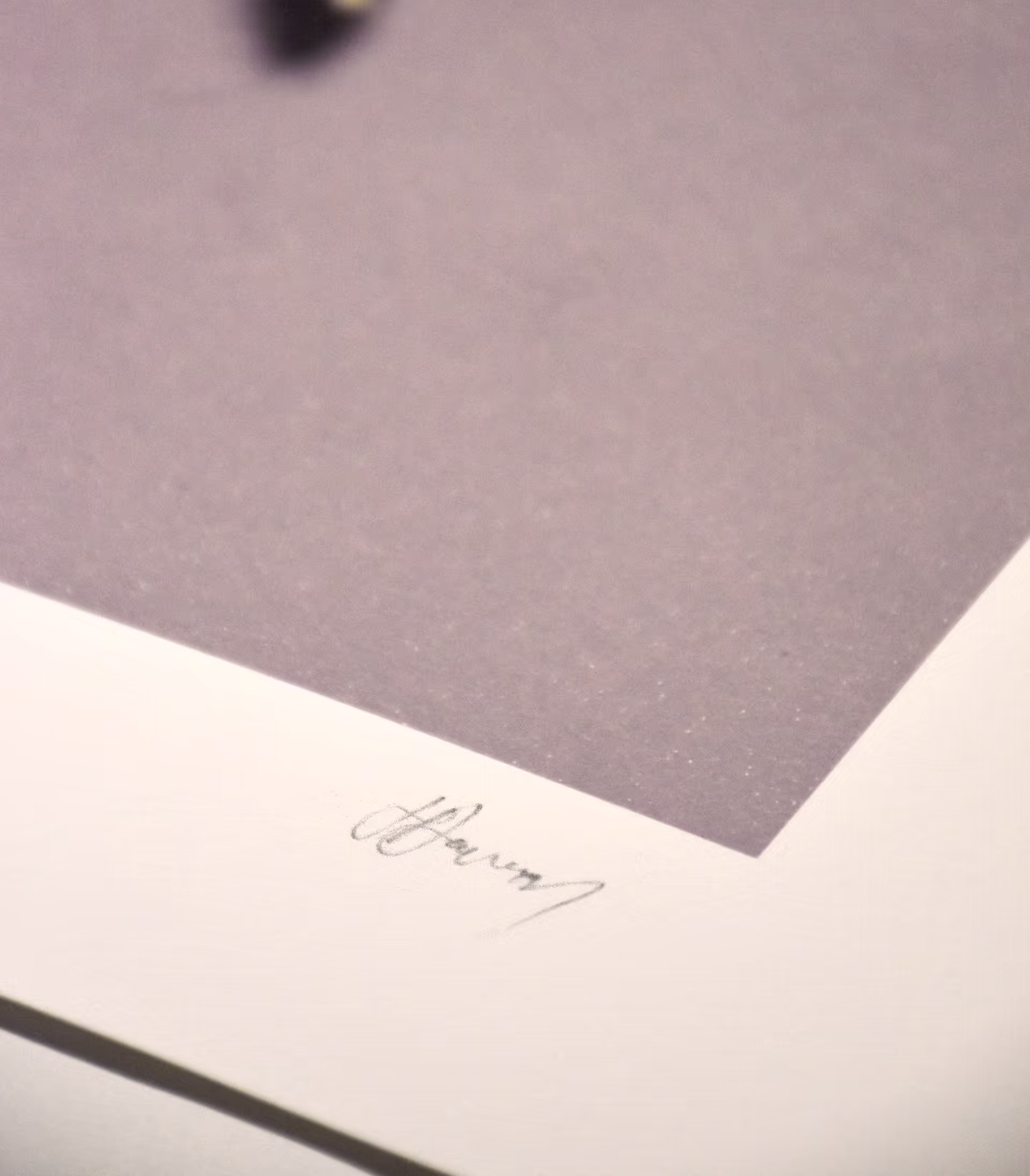 Joshua Davison's signature and numbering on the Marigold Garden print